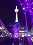 image4.jpeg